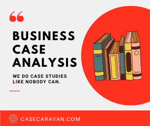 Website Case Study Examples
